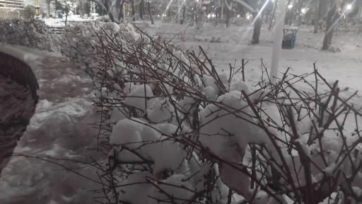 عکس پارک نیایش