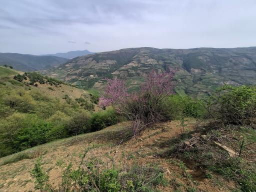 عکس تنگه چهل چای