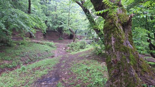 عکس تنگه چهل چای