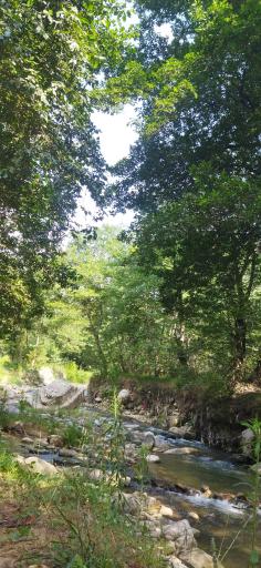 عکس تنگه چهل چای