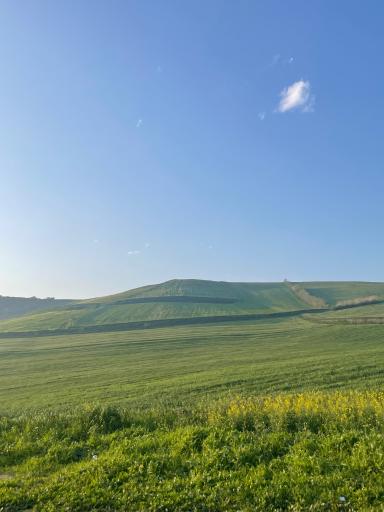 عکس تنگه چهل چای