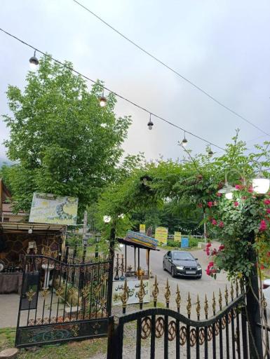عکس رستوران و آشپزخانه لوکس طلایی