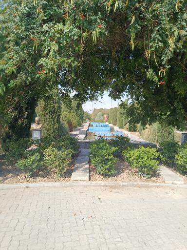 عکس حوض پروانه
