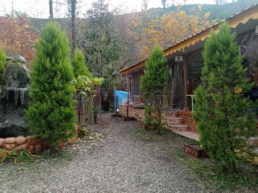 عکس رستوران و آشپزخانه لوکس طلایی