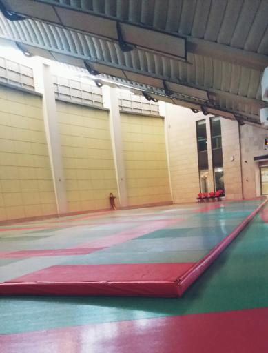 عکس باشگاه آیکیدو ( دفاع شخصی )