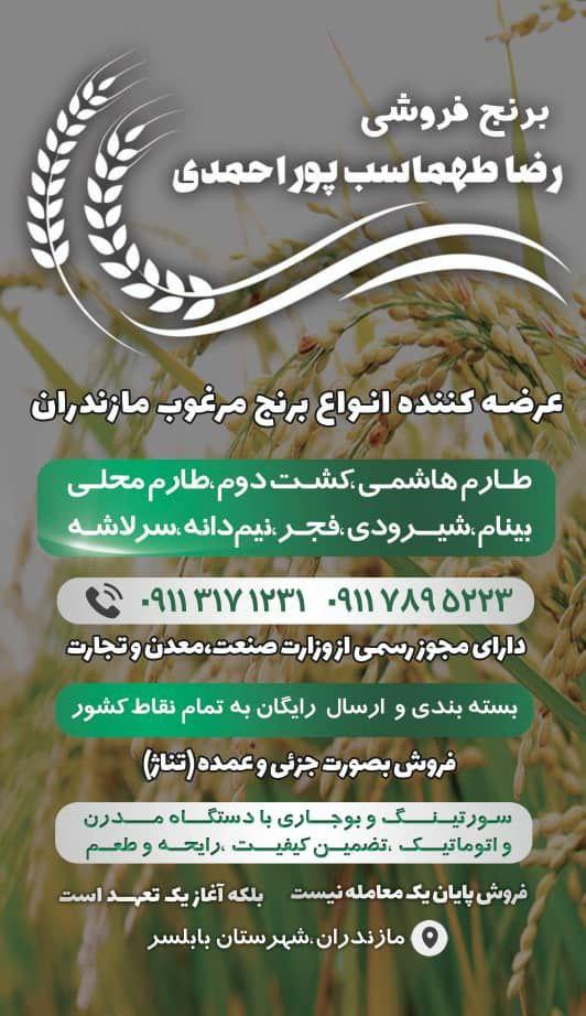 عکس برنج فروشی رضا طهماسب پور 