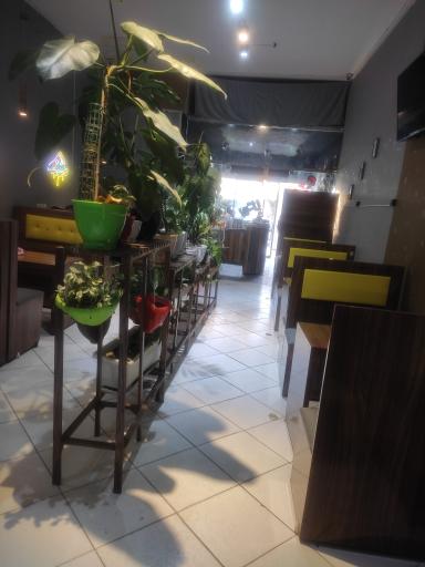 عکس فست فود آقای خاص