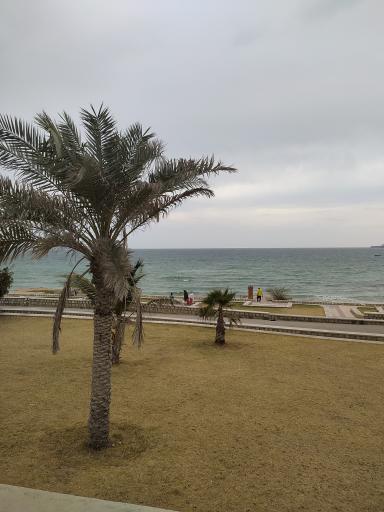 عکس پارک ساحلی سوزا