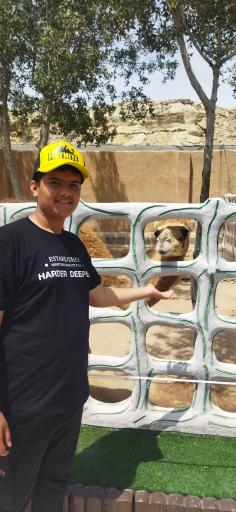 عکس پارک ساحلی سوزا