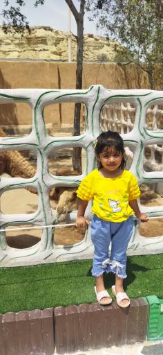 عکس پارک ساحلی سوزا