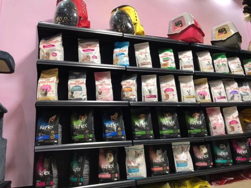 عکس کوپوپت شاپ