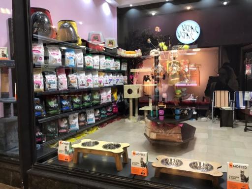 عکس کوپوپت شاپ