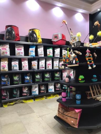 عکس کوپوپت شاپ