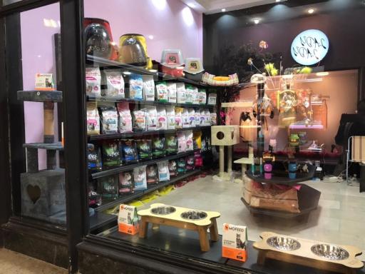 عکس کوپوپت شاپ