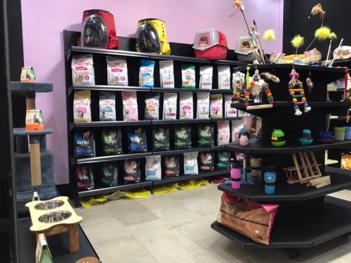 عکس کوپوپت شاپ