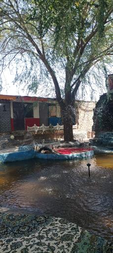 عکس کافه گل یخ