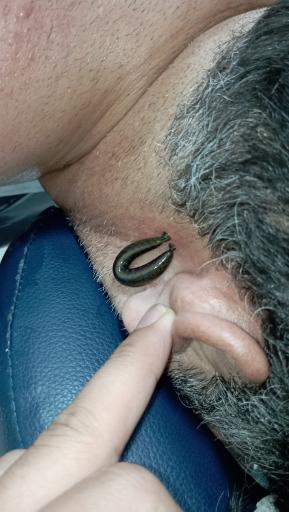 عکس کلینیک حجامت و ماساژ ریلکسی شاه محمدی