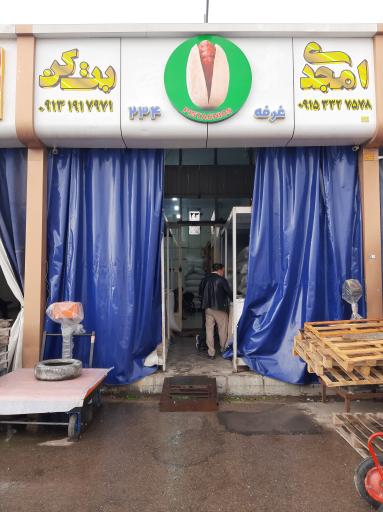 عکس پسته امجدی