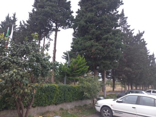 عکس هتل جهانگردی چلندر