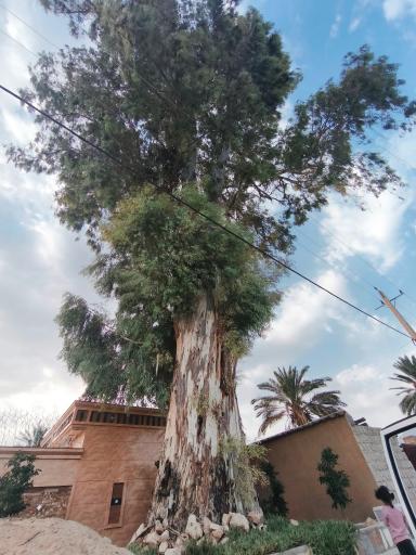 بالاشهر