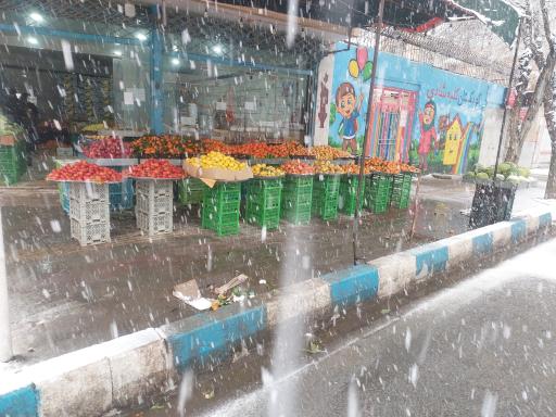 عکس میوه فروشی اشراقی