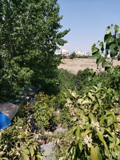 عکس رستوران باغ سهیل