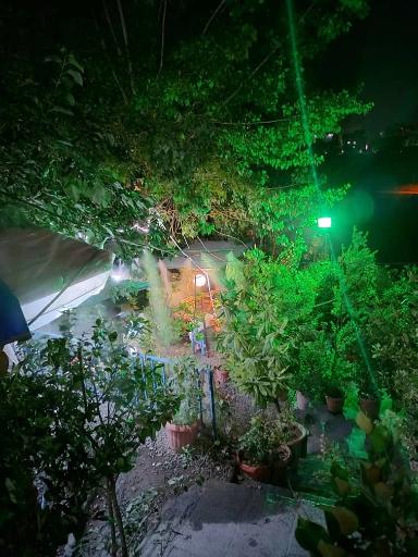 عکس رستوران باغ سهیل