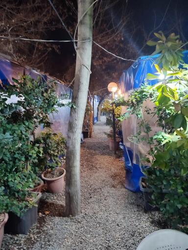 عکس رستوران باغ سهیل