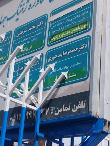 عکس دکتر حمیدرضا بیدخوری