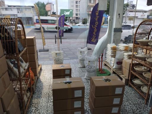 عکس برنج عباس کناری
