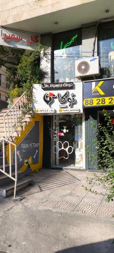 عکس پت شاپ توکا