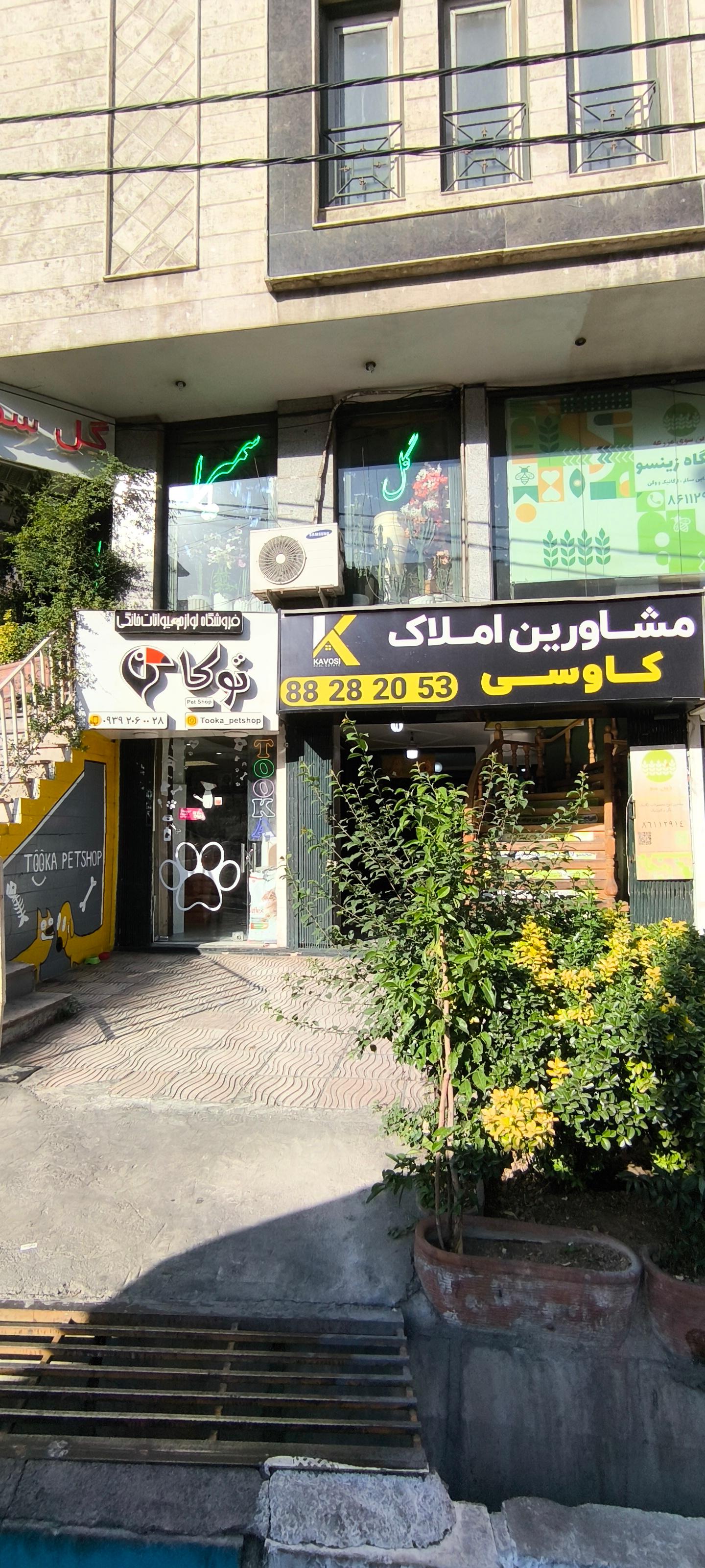 عکس پت شاپ توکا