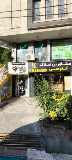 عکس پت شاپ توکا