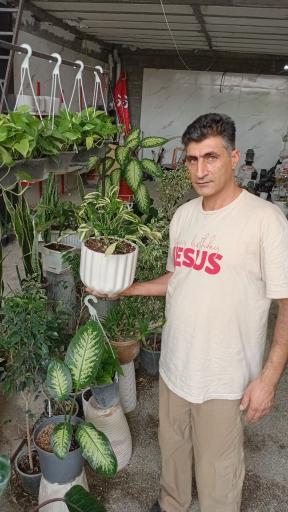 عکس گلسرای جوقین