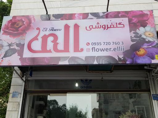 عکس گلفروشی الی