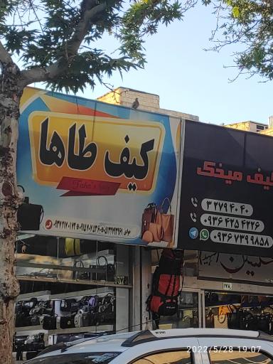 عکس کیف طاها