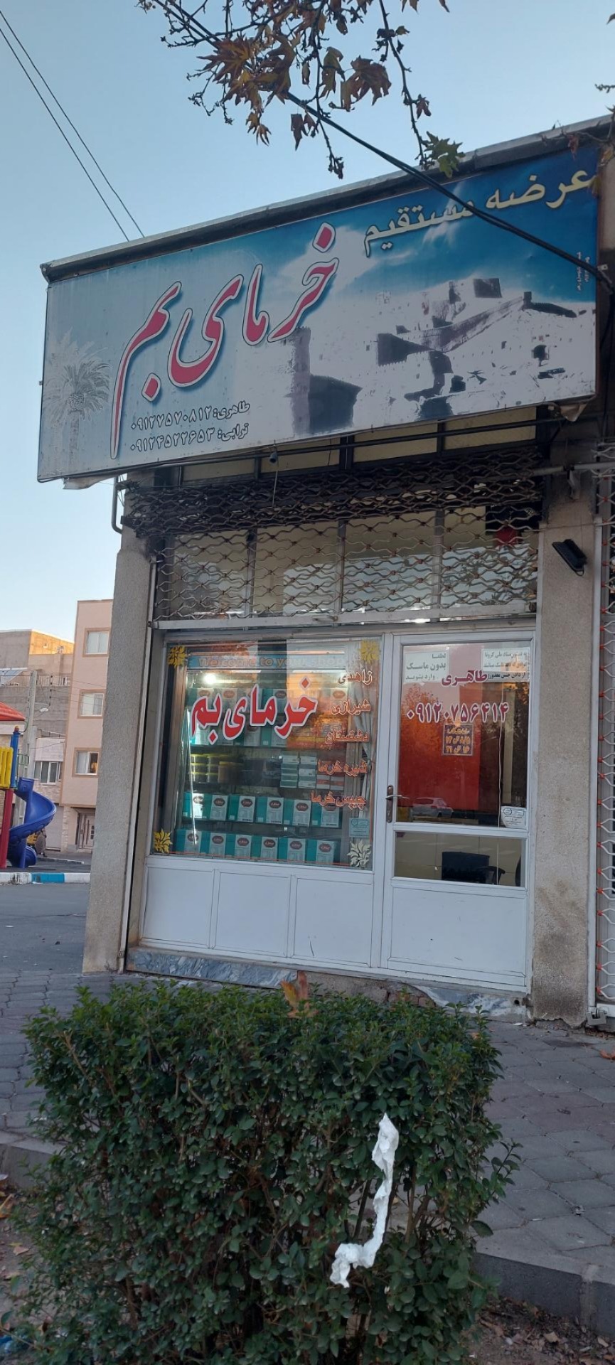 عکس خرمای بم