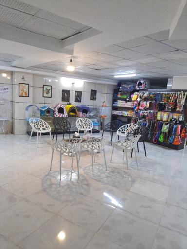 عکس پلی کلینیک دامپزشکی پارادایس