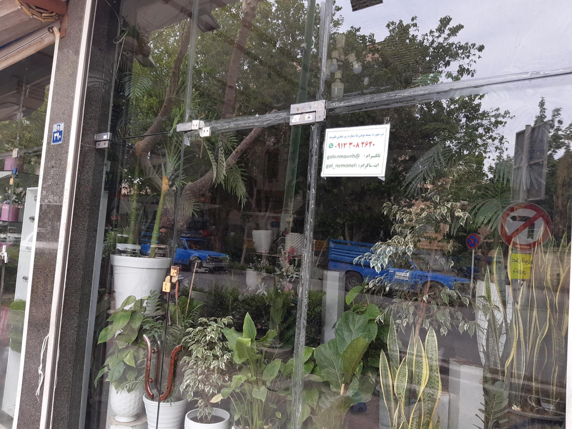 عکس گل فروشی نمونه