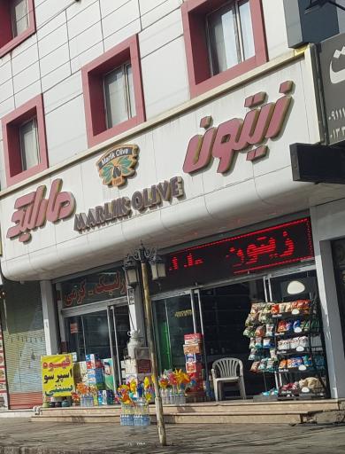 عکس زیتون مارلیک