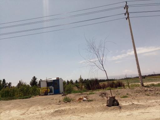 عکس نهالستان شناسه دار یوسفیان