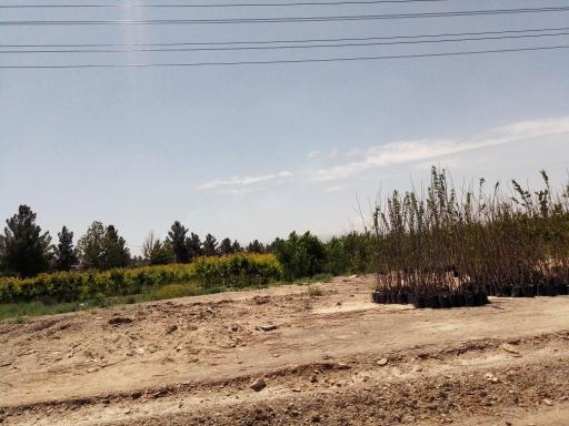 عکس نهالستان شناسه دار یوسفیان