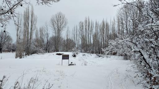 عکس تپه باستانی خالصه