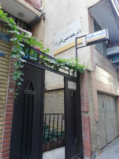 عکس دکتر محمد حسین ملکی 