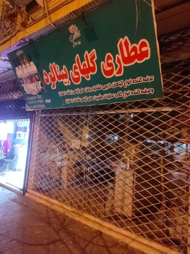 عکس عطاری گلهای بینالود 