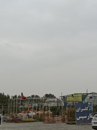 عکس بازار گل طرقبه