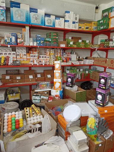 عکس الکتریکی بامداد