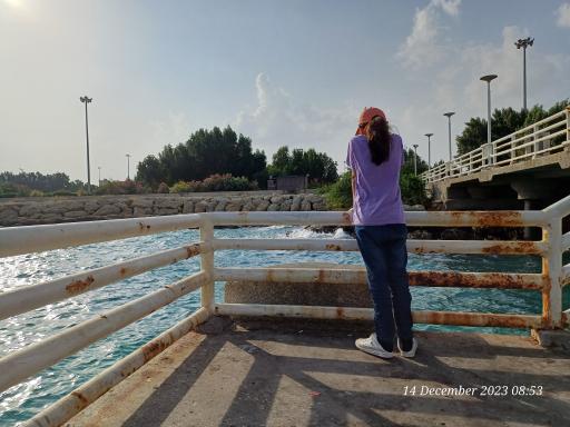 عکس اسکله تفریحی میر مهنا