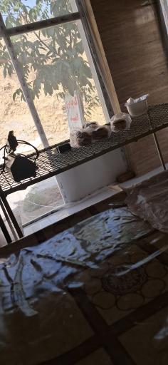 عکس کلوچه پزی امید