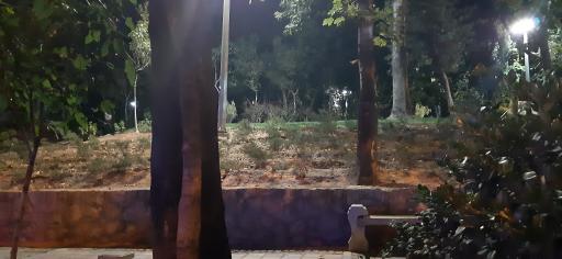 عکس بوستان شهید باهنر